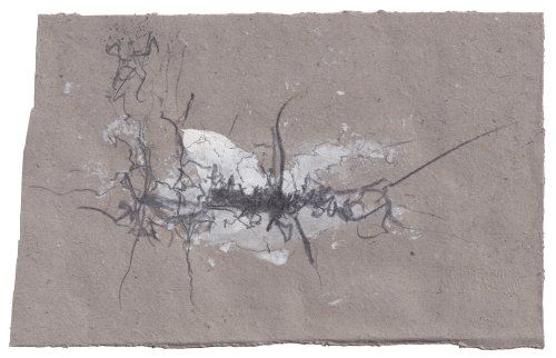 O.T. 2024, Acryl, Graphit, Tusche / Karton, 26 x 42 cm