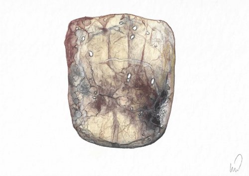 O.T. 2023, Aquarell, Aquarellstift, 12 x 17 cm