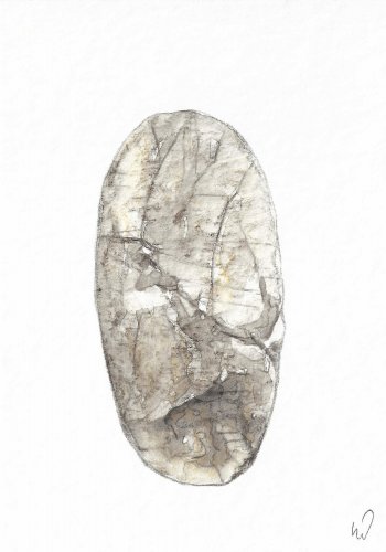 O.T. 2024, Aquarell, Aquarellstift, 17 x 12 cm