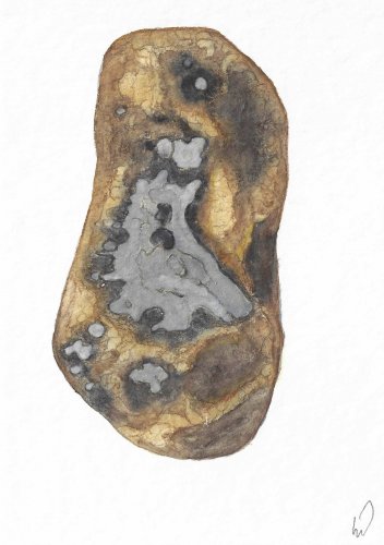 O.T. 2024, Aquarell, Aquarellstift, 17 x 12 cm